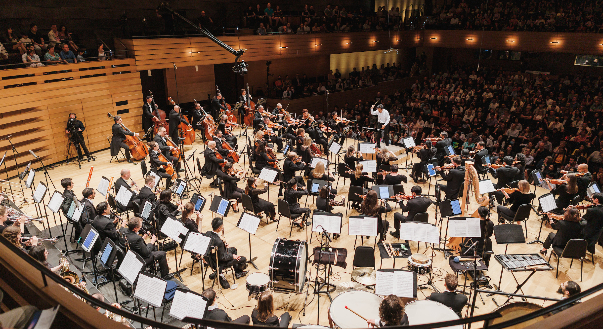 Mandle Philharmonic presents Beethoven 9 - Ode to Joy, Carmina Burana photo